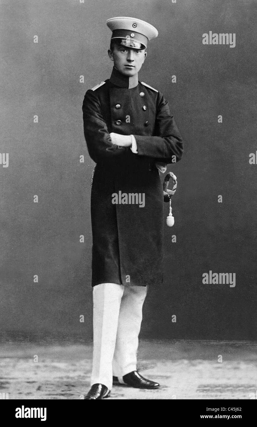 Fürst Hermann von Sachsen-Weimar Stockfoto