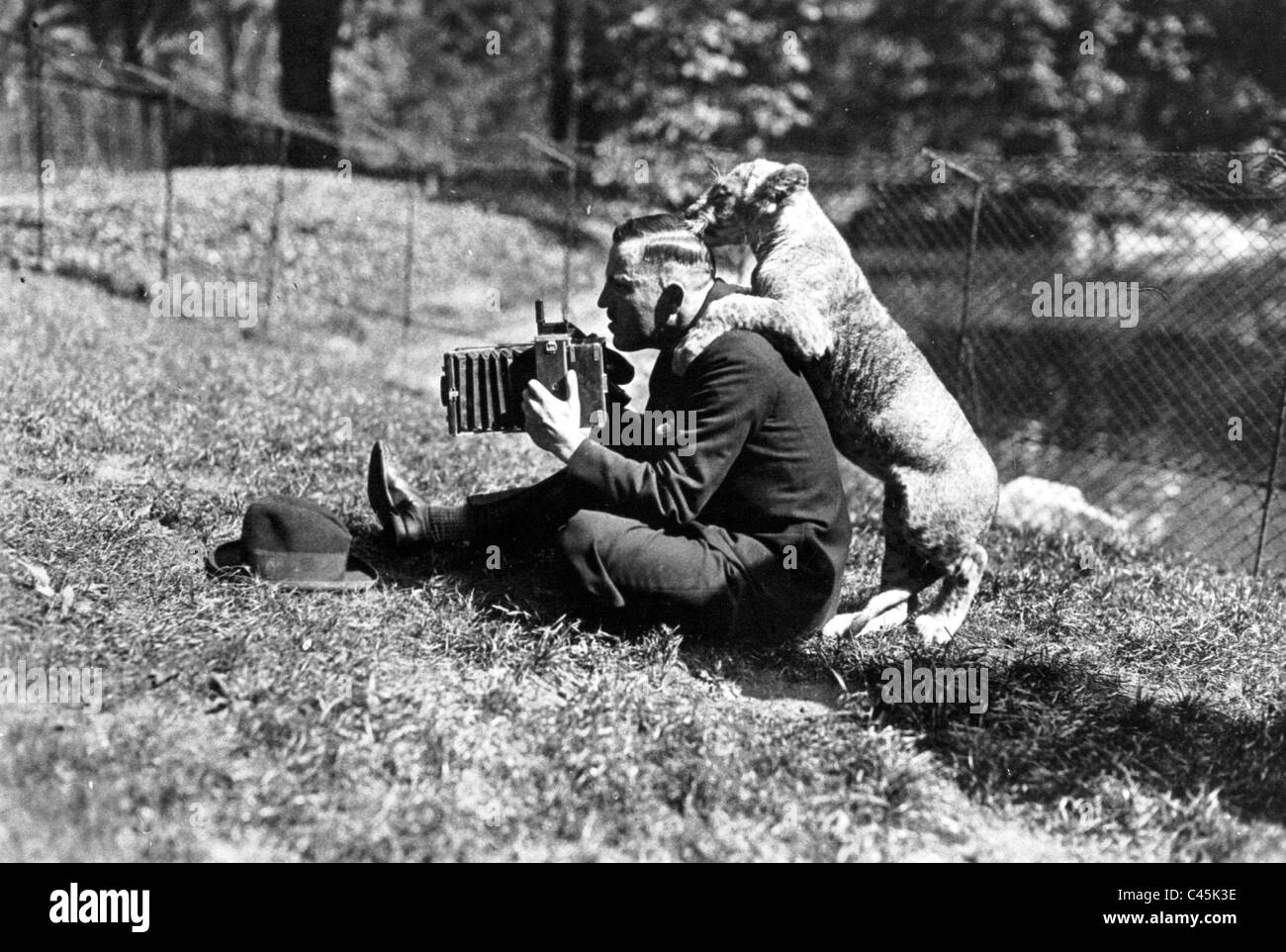 Fotograf im Berliner Zoo Stockfoto