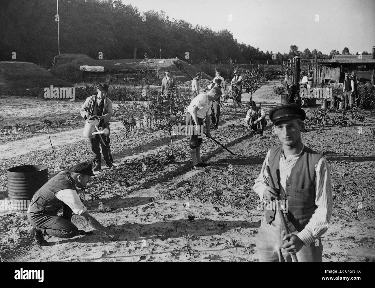 Männer arbeiten im Garten während der großen Depression, 1932 Stockfoto