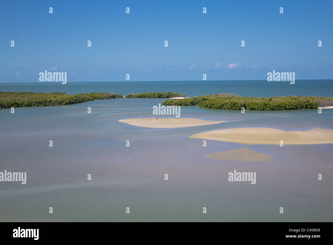 Zehn tausend Inseln Bereich Süden von Marco Island Florida Westküste. Stockfoto