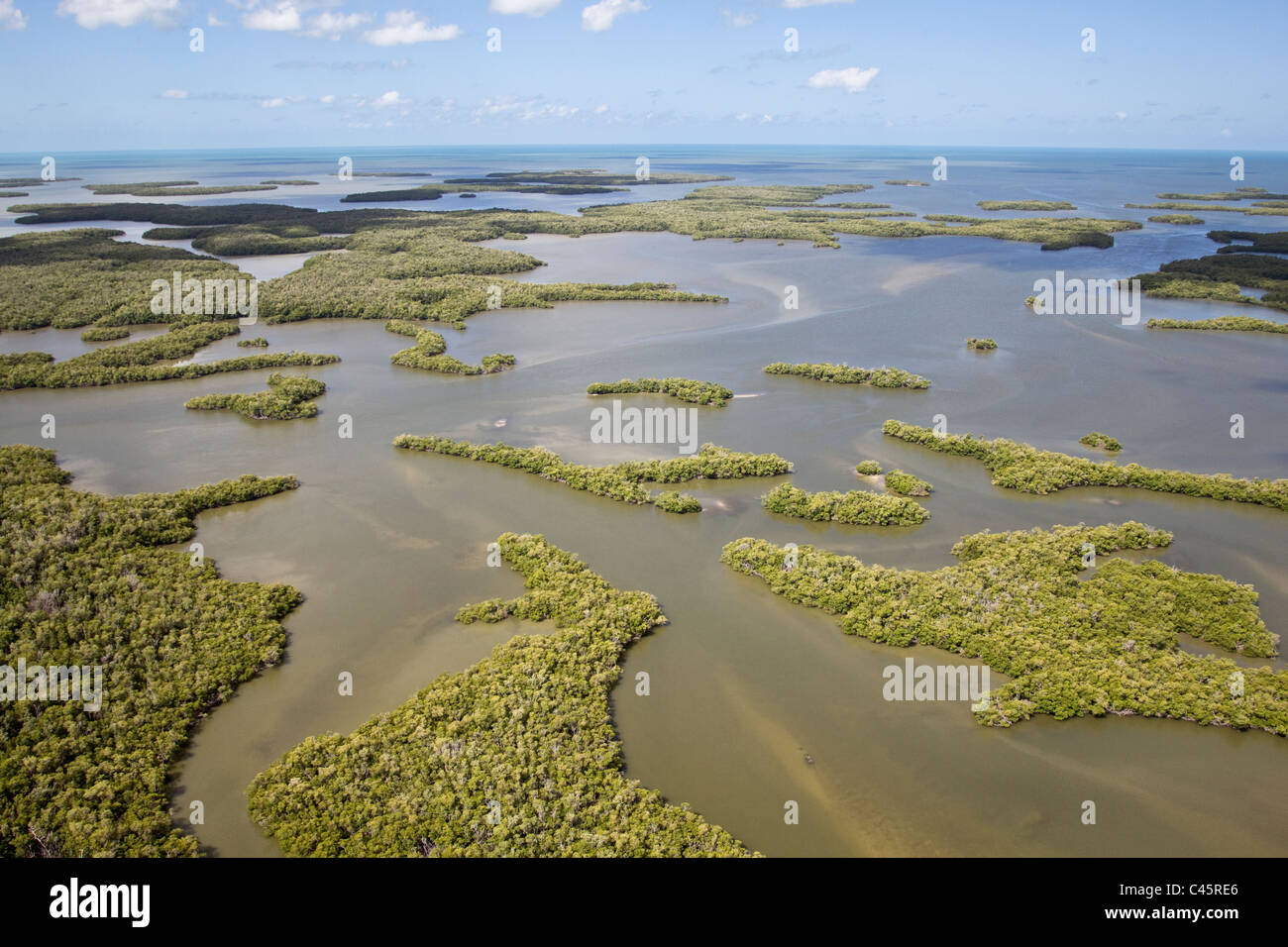 Bereich 10.000 Inseln von Südwest Florida Stockfoto