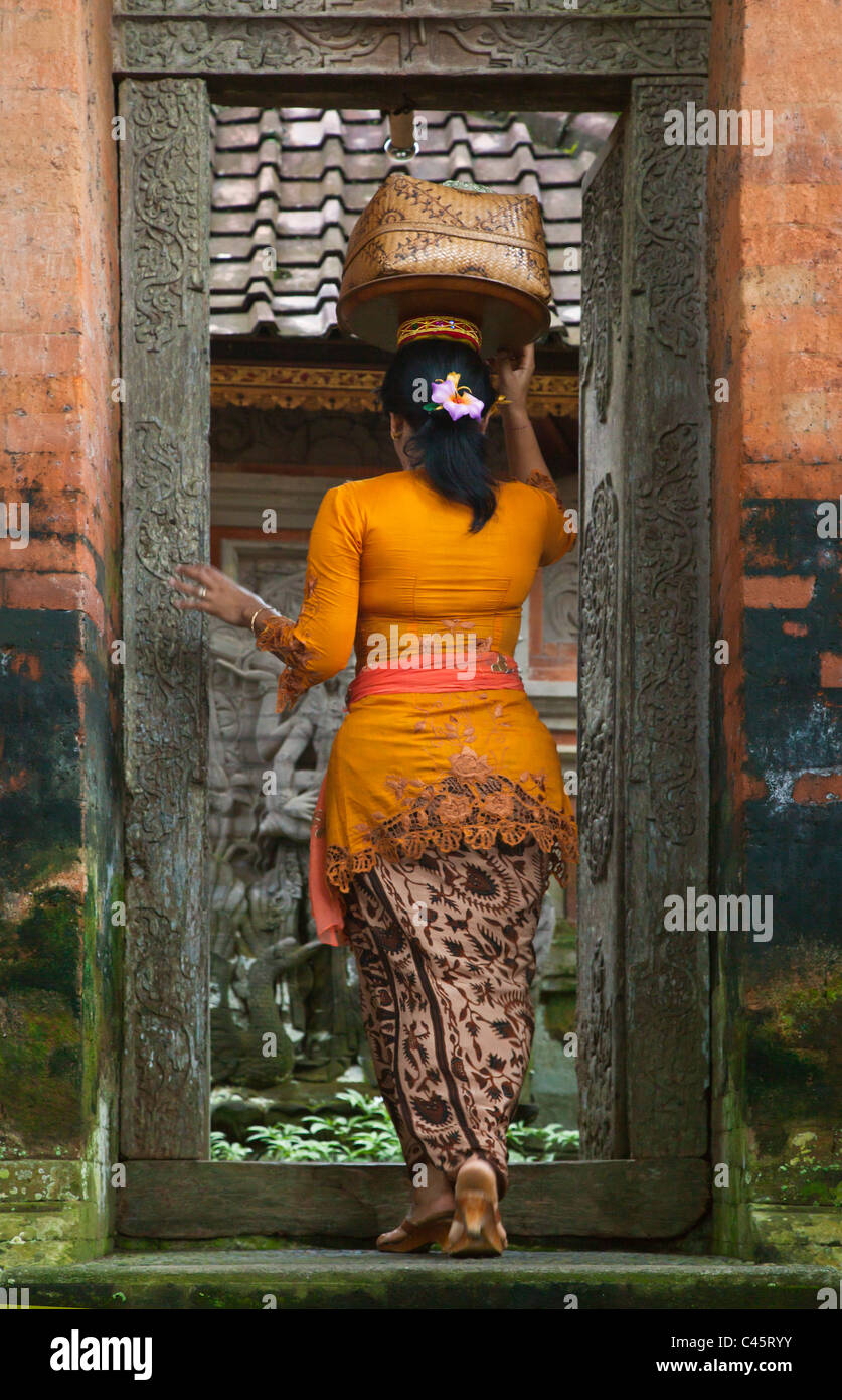 BALINESISCHE Frauen tragen Angebote verdutzte Hindu Tempel der PURA DESA während der GALUNGAN FESTIVAL - UBUD, BALI, Indonesien Stockfoto