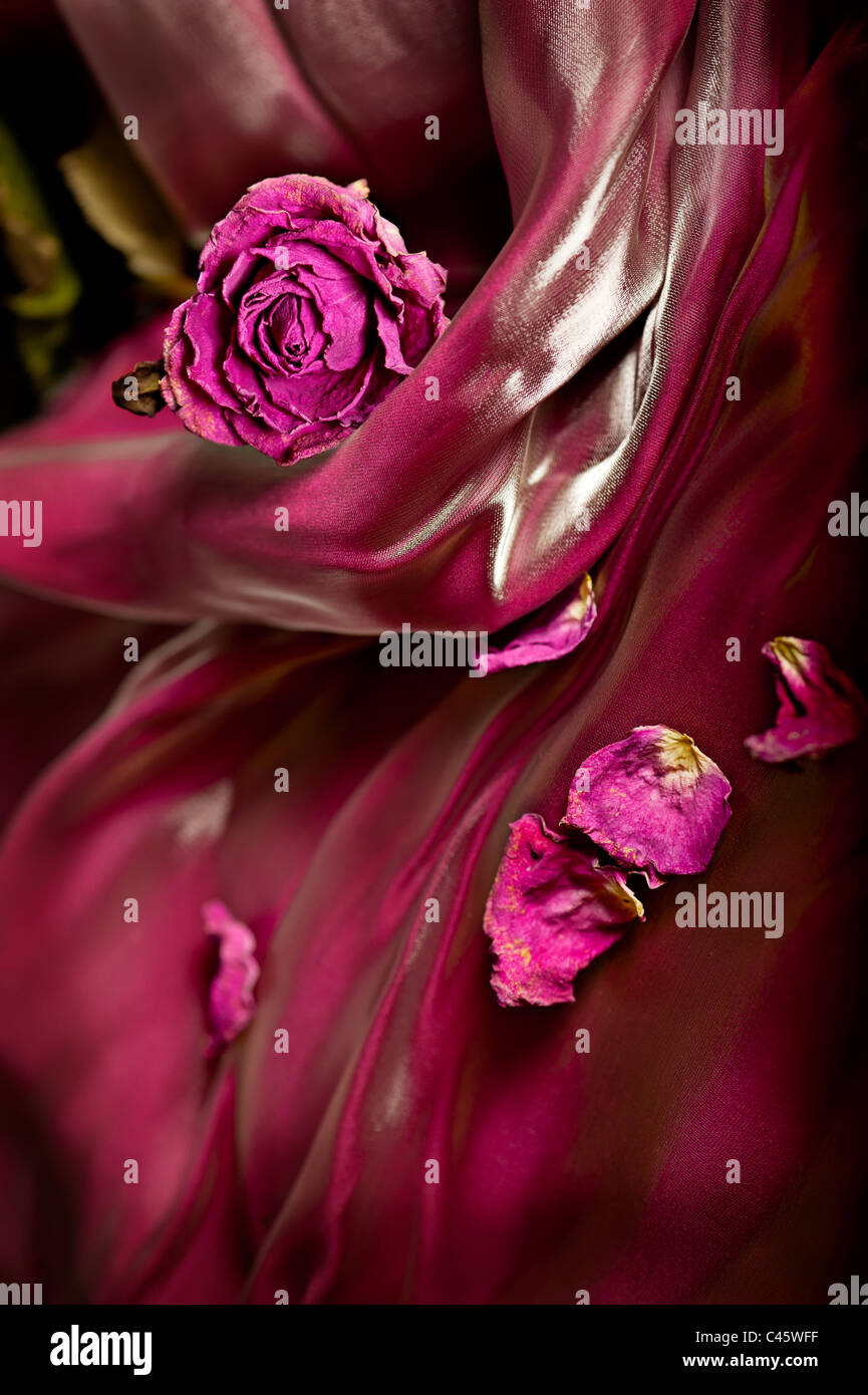 Vintage-Hintergrund rot trocken Rose auf Satin. Geringe Schärfentiefe Stockfoto