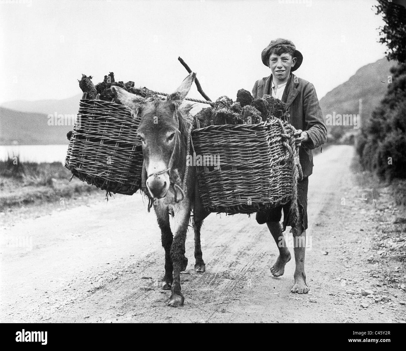 Irische Bauernjunge, 1938 Stockfoto