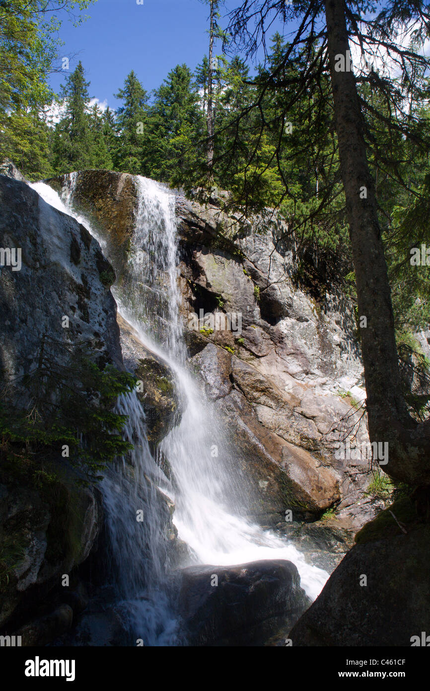 Hohe Tatra - Studenovodske Wasserfälle - Slowakei Stockfoto