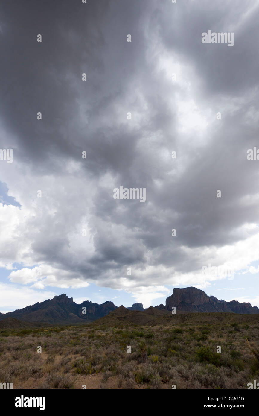 Gewitterwolken über Berge in die Chihuahuan Wüste Big Bend Nationalpark Texas USA Stockfoto