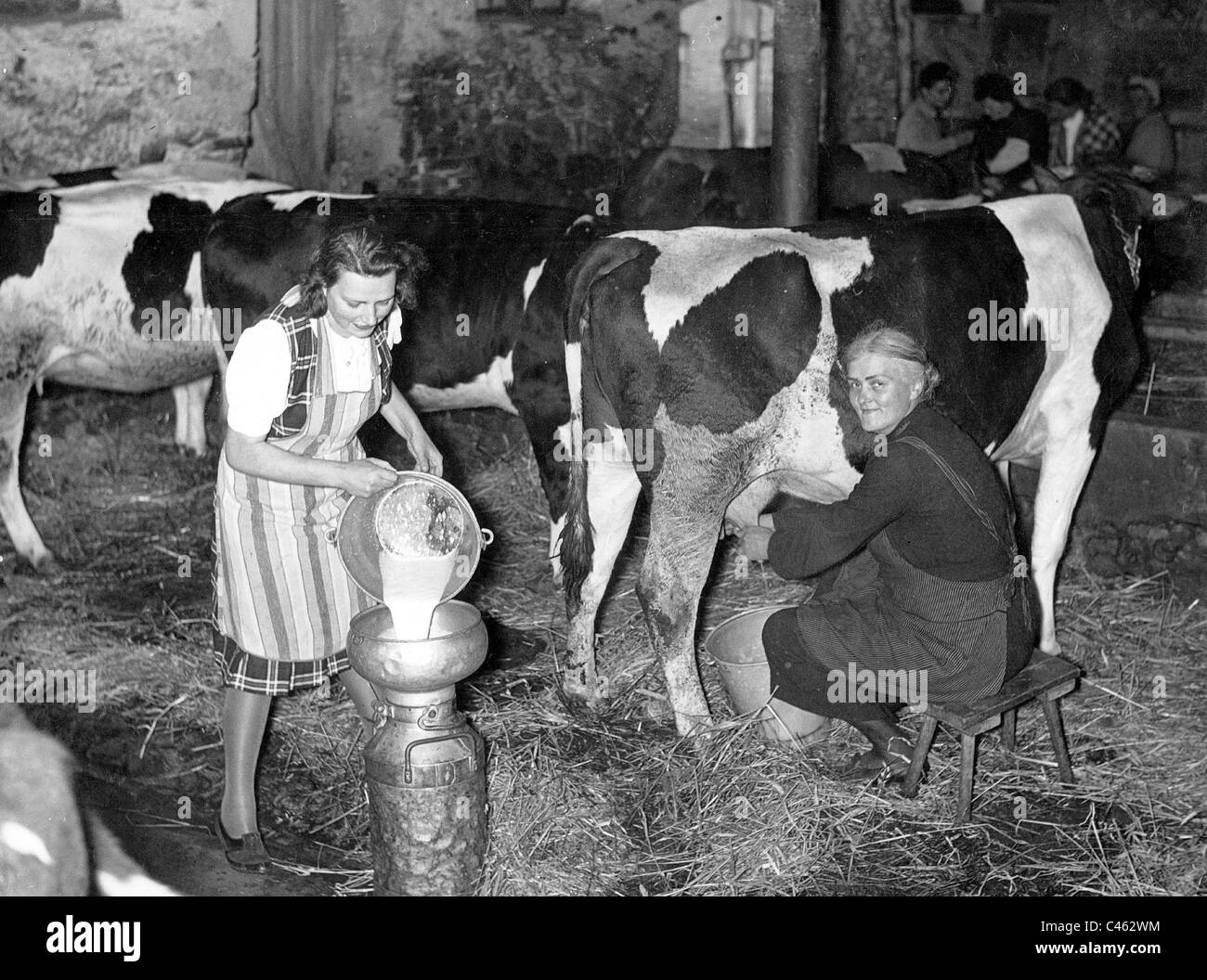 Bauern Beim Melken Und Eingie en Von Milch 1943 Stockfotografie Alamy bauern-beim-melken-und-eingie-en-von-milch-1943-stockfotografie-alamy