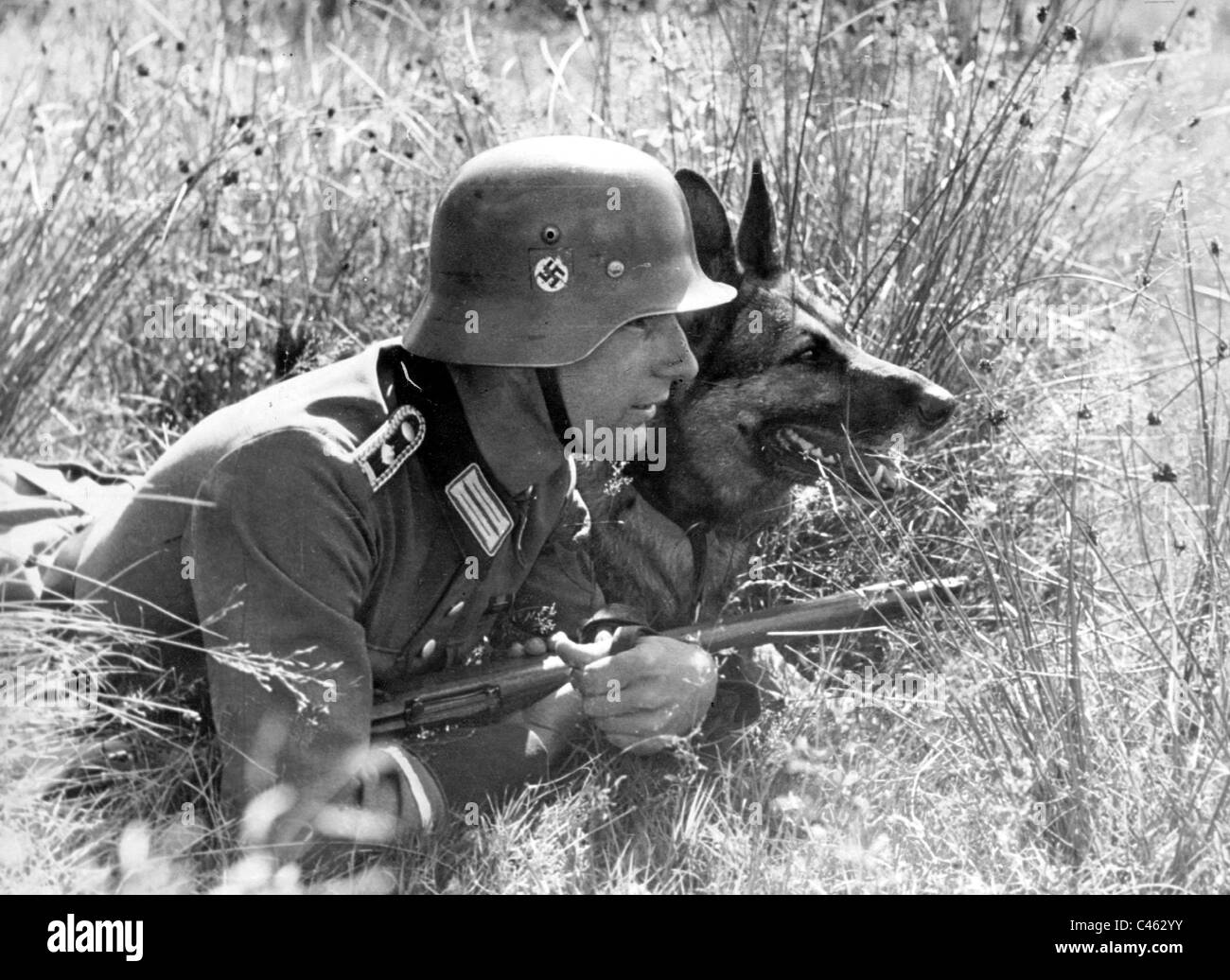 Deutscher Polizist mit einem deutschen Schäferhund an der Ostfront 1942 Stockfoto