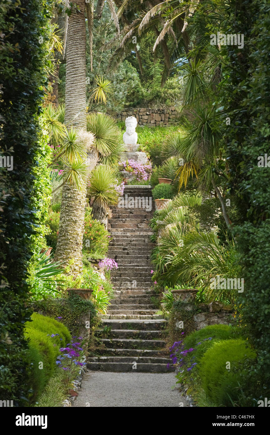 Tresco Abbey Gardens, Tresco Island, Isles of Scilly, Cornwall, England Stockfoto