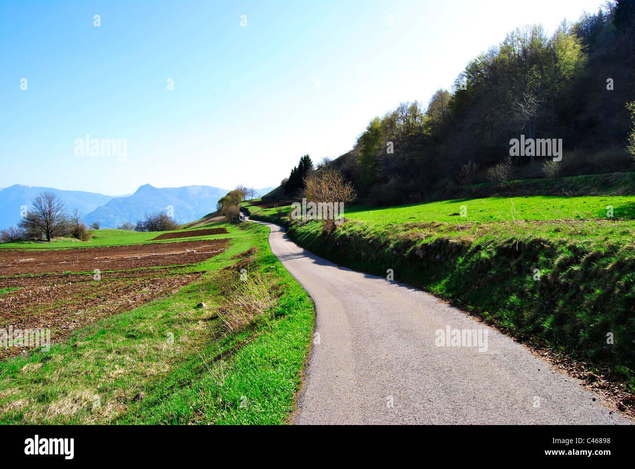 Landstraße, Wiesen, Wälder und Pflanzen Stockfoto