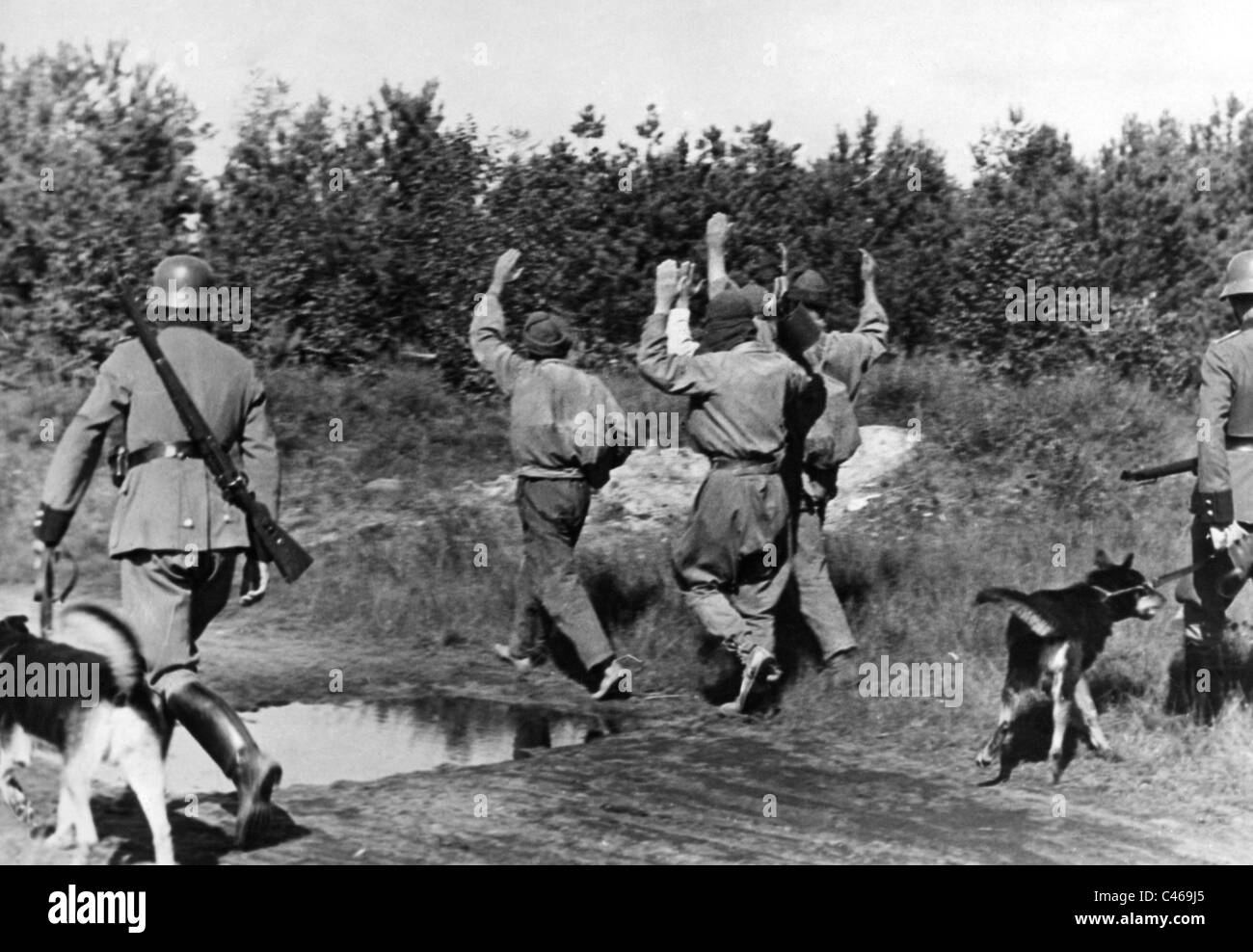 Zweiter Weltkrieg: Deutsche Polizei, Kampf gegen Partisanen in der besetzten Sowjetunion Stockfoto