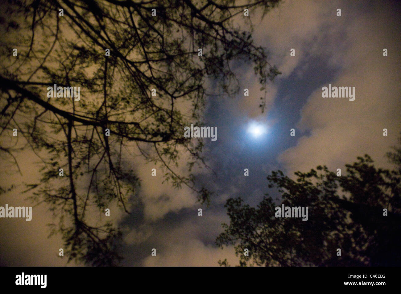 Abstrakten Blick auf den Nachthimmel Stockfoto