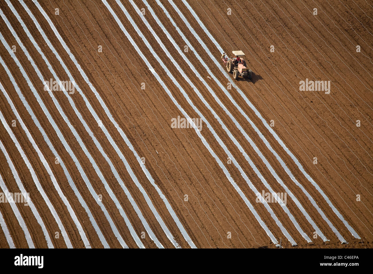 Luftaufnahme der Landwirtschaft Felder der Dan Metropole Stockfoto