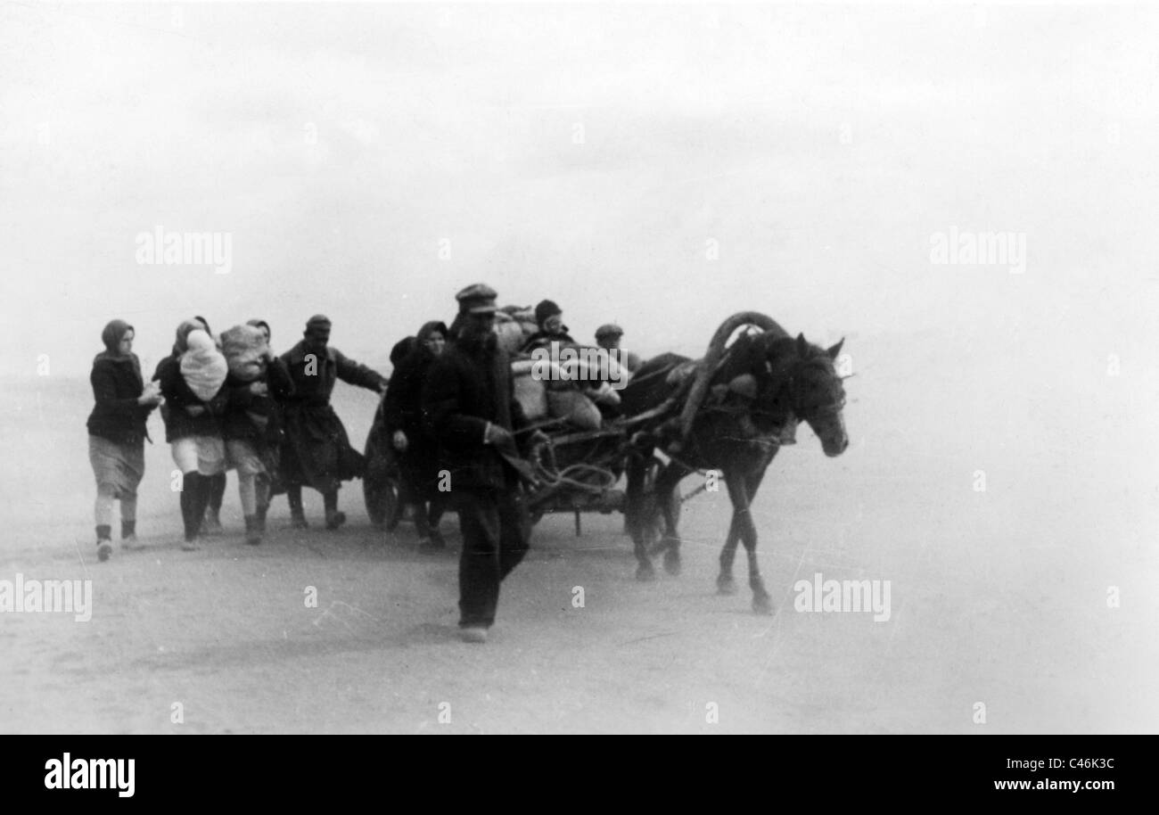 Zweiter Weltkrieg: Deutsche Truppen Angriff auf Stalingrad zwischen den Flüssen Don und Wolga, September-Oktober 1942 Stockfoto