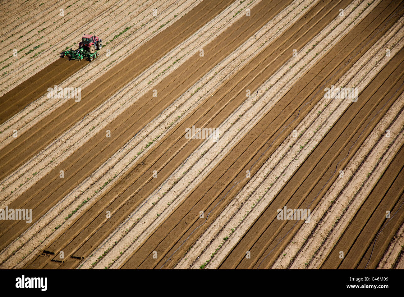 Luftaufnahme eines Traktors pflügen ein Feld im nördlichen Negev Stockfoto