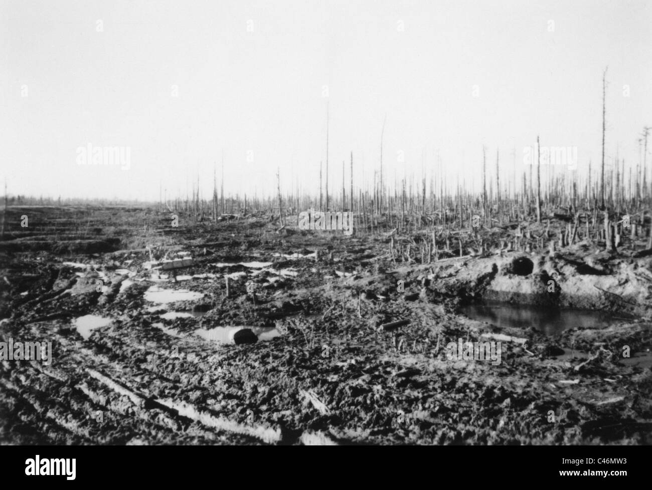 Zweiter Weltkrieg: Schlachten an der Ostfront 1941-1942 Stockfoto