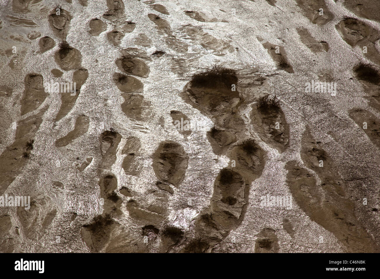 Abstrakte Fotografie von einem überfluteten Wadi in der Arava Stockfoto