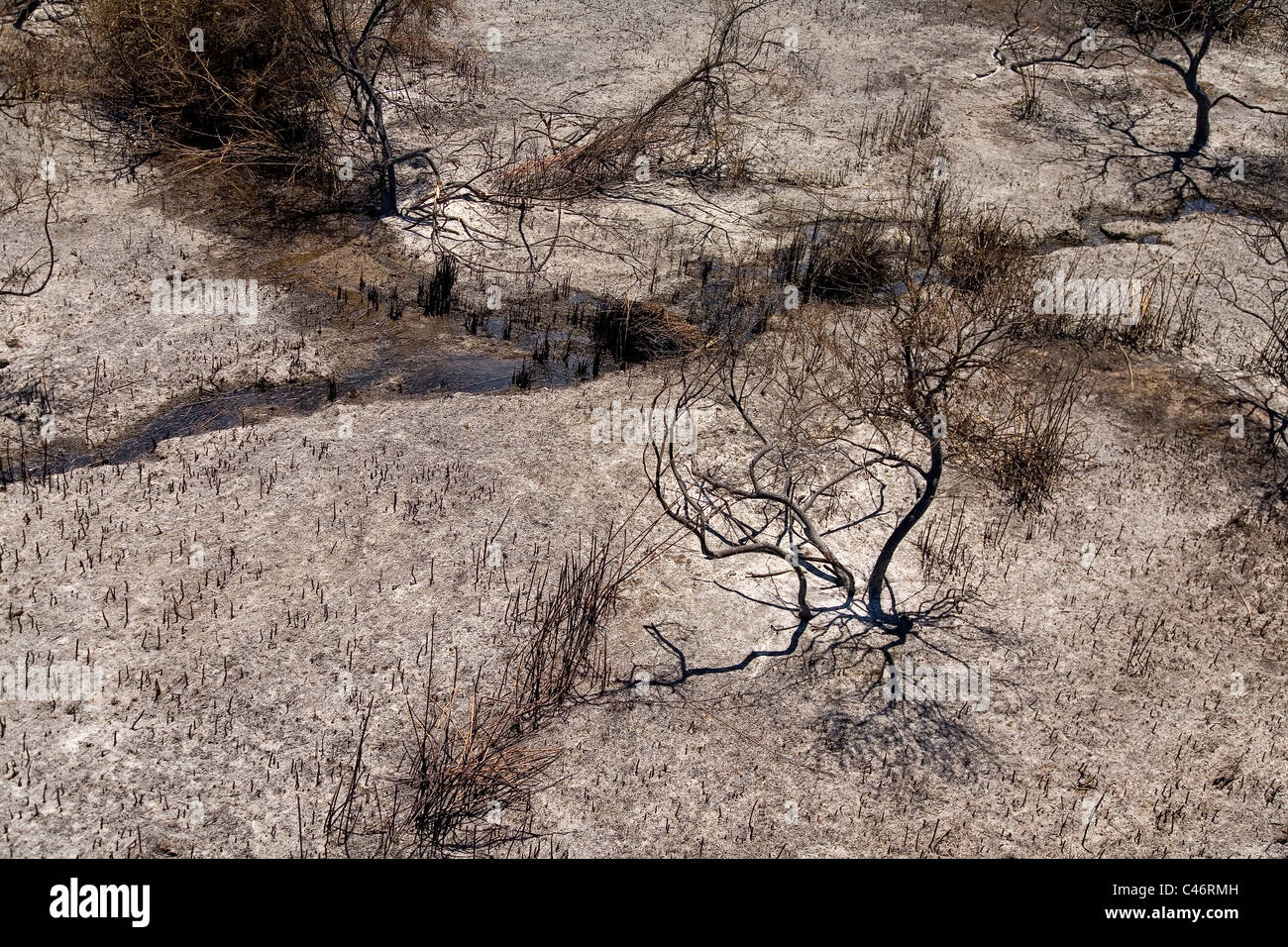 Luftaufnahme des verbrannten Banias Nationalparks Stockfoto