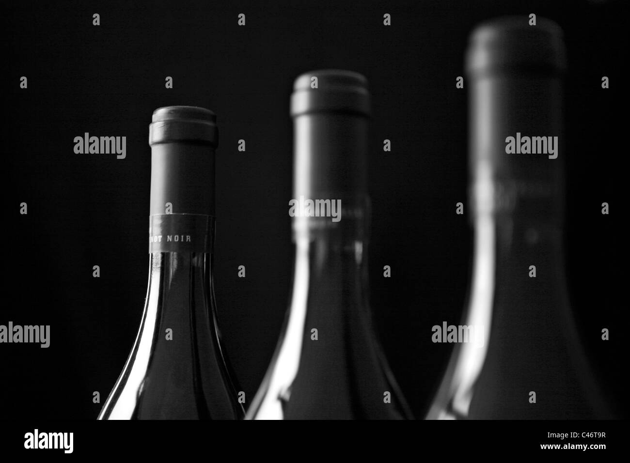 Drei Flaschen Wein in einer Reihe aufgestellt. Stockfoto