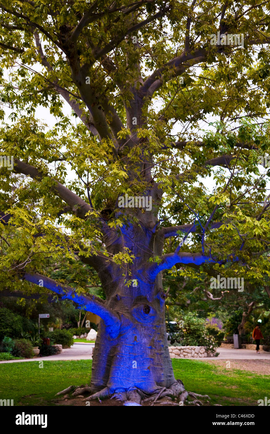 Abstrakte Ansicht eines Baumes mit blauem Licht darauf Stockfoto