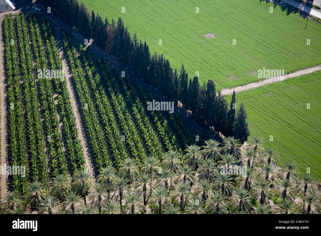 Abstrakten Blick auf die Landwirtschaft-Felder des Galiläa Stockfoto