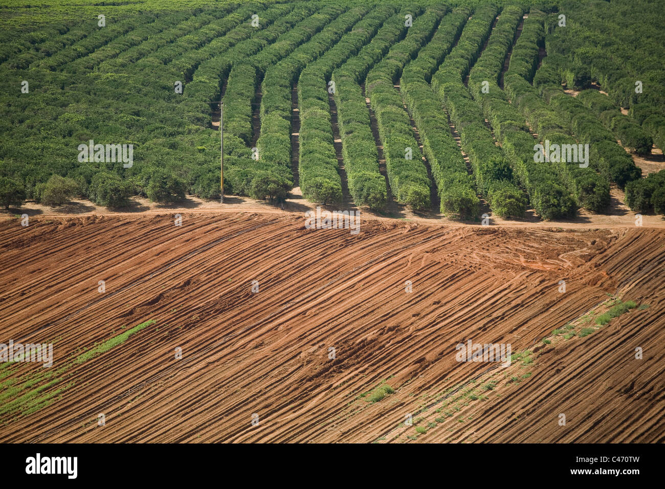 Abstrakte Sicht auf die Landwirtschaft Tätigkeitsfelder der Sharon Stockfoto