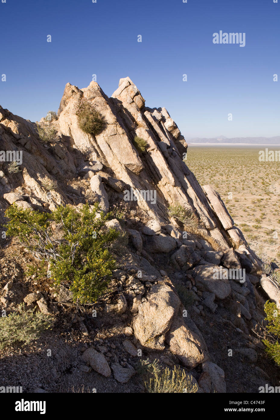 Gneis Gesteinsschichten ragen horizontal vom Boden der Mojave-Wüste Boden - Kalifornien USA Stockfoto
