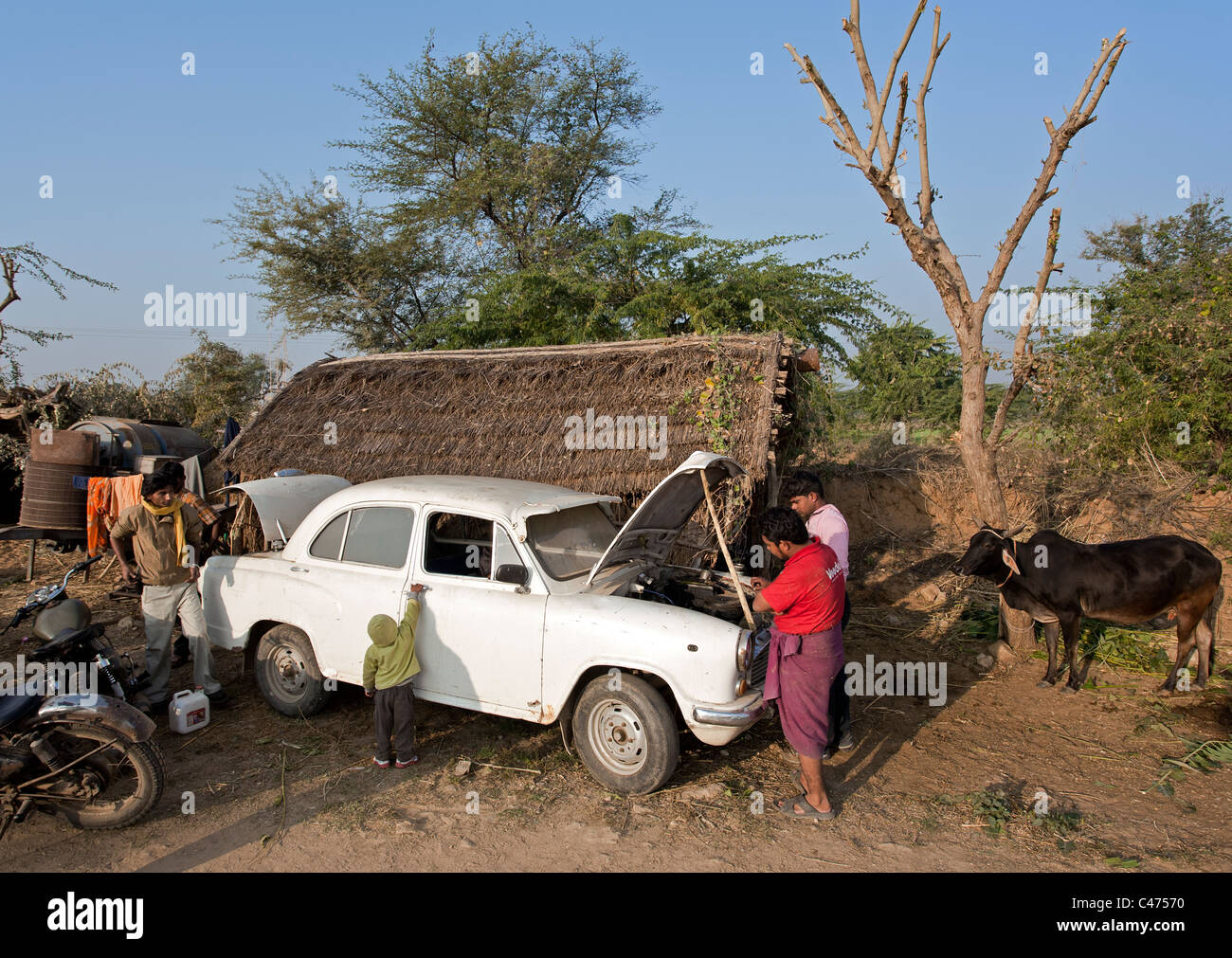Indische Männer ein altes Hindustan Ambassador Auto zu reparieren. Pushkar. Rajasthan. Indien Stockfoto