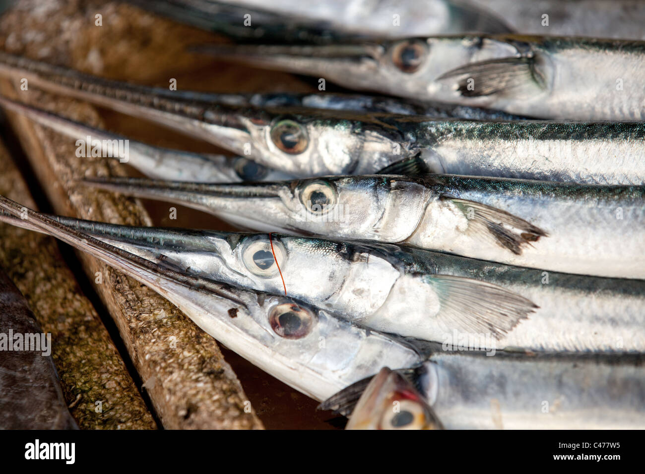 lange silberne Fische im asiatischen Straßenmarkt, thailand Stockfoto