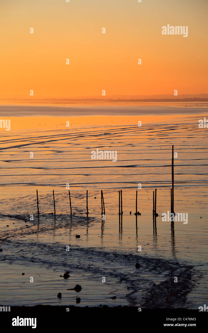 Sonnenuntergang über den Strand und das Wattenmeer bei Goldcliff in der Nähe von Newport Gwent Wales UK Stockfoto