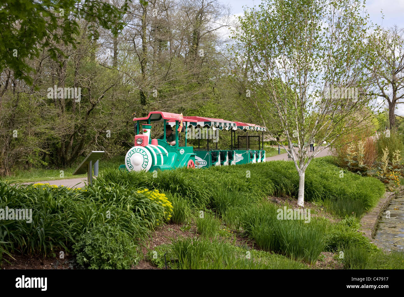 Nationaler Botanischer Garten von Wales, Straße trainieren auf Promenade Stockfoto