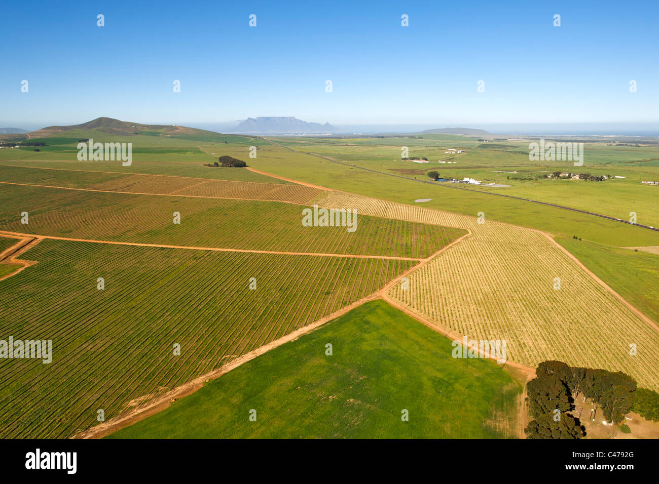 Luftaufnahme über die landwirtschaftlichen Felder des Fisantekraal und Philadelphia nördlich von Kapstadt in Südafrika. Stockfoto
