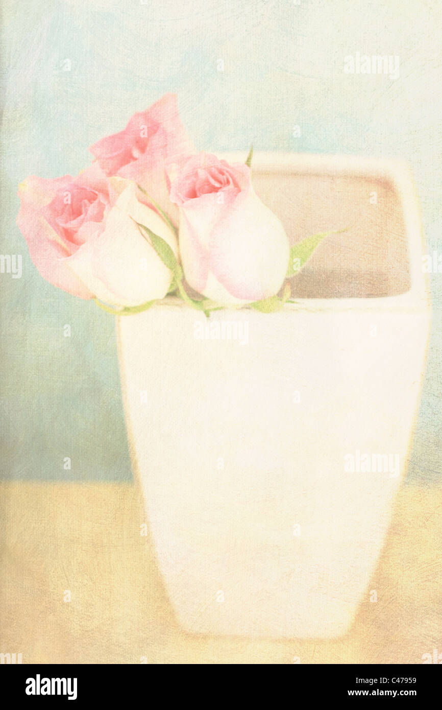 Rosa Rosen in einer rosa Vase mit einem blauen und natürlichen Hintergrund Stockfoto