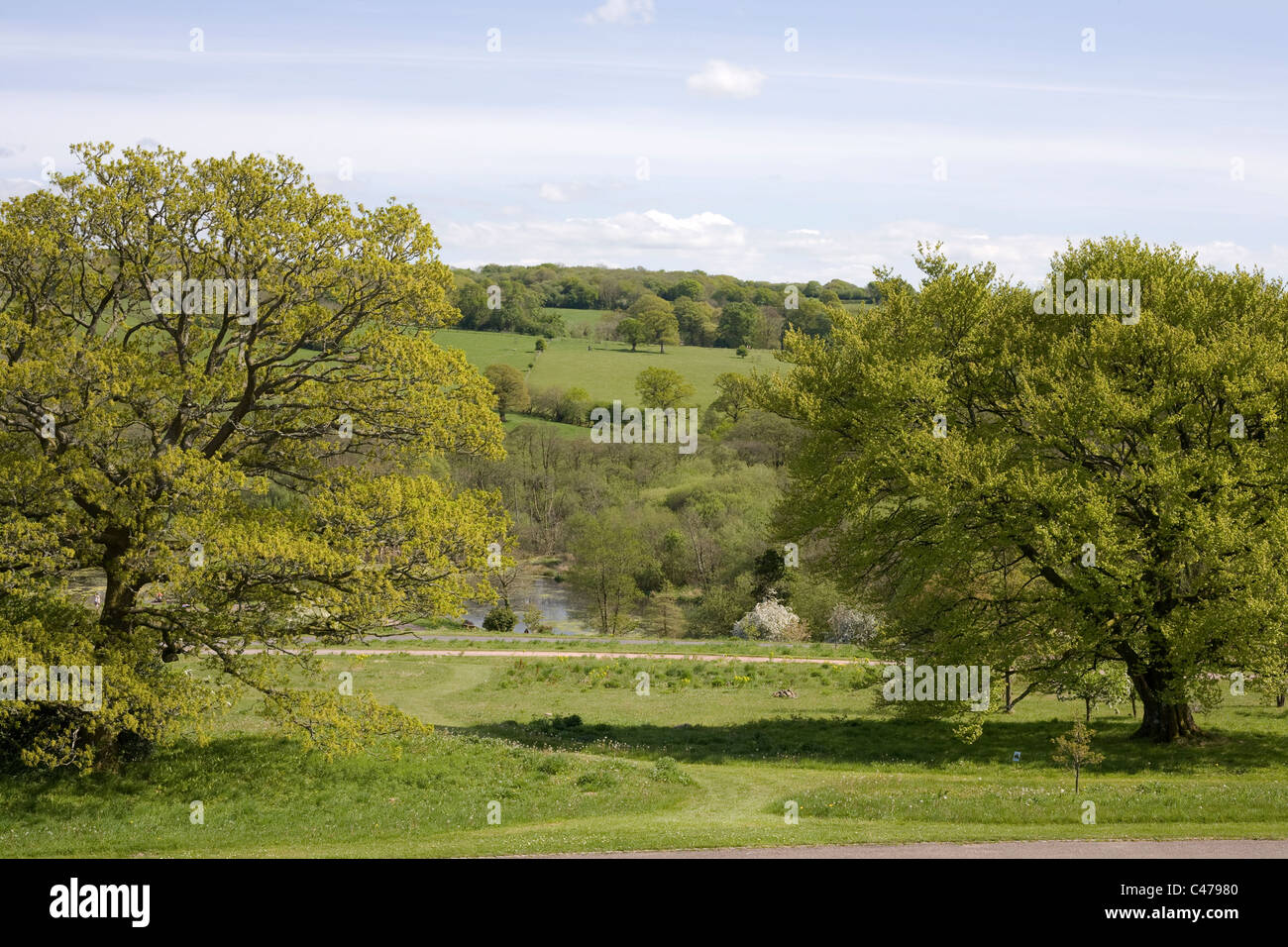 Nationaler Botanischer Garten von Wales, Blick vom großen Gewächshaus Hügel Richtung Garten Seen Stockfoto