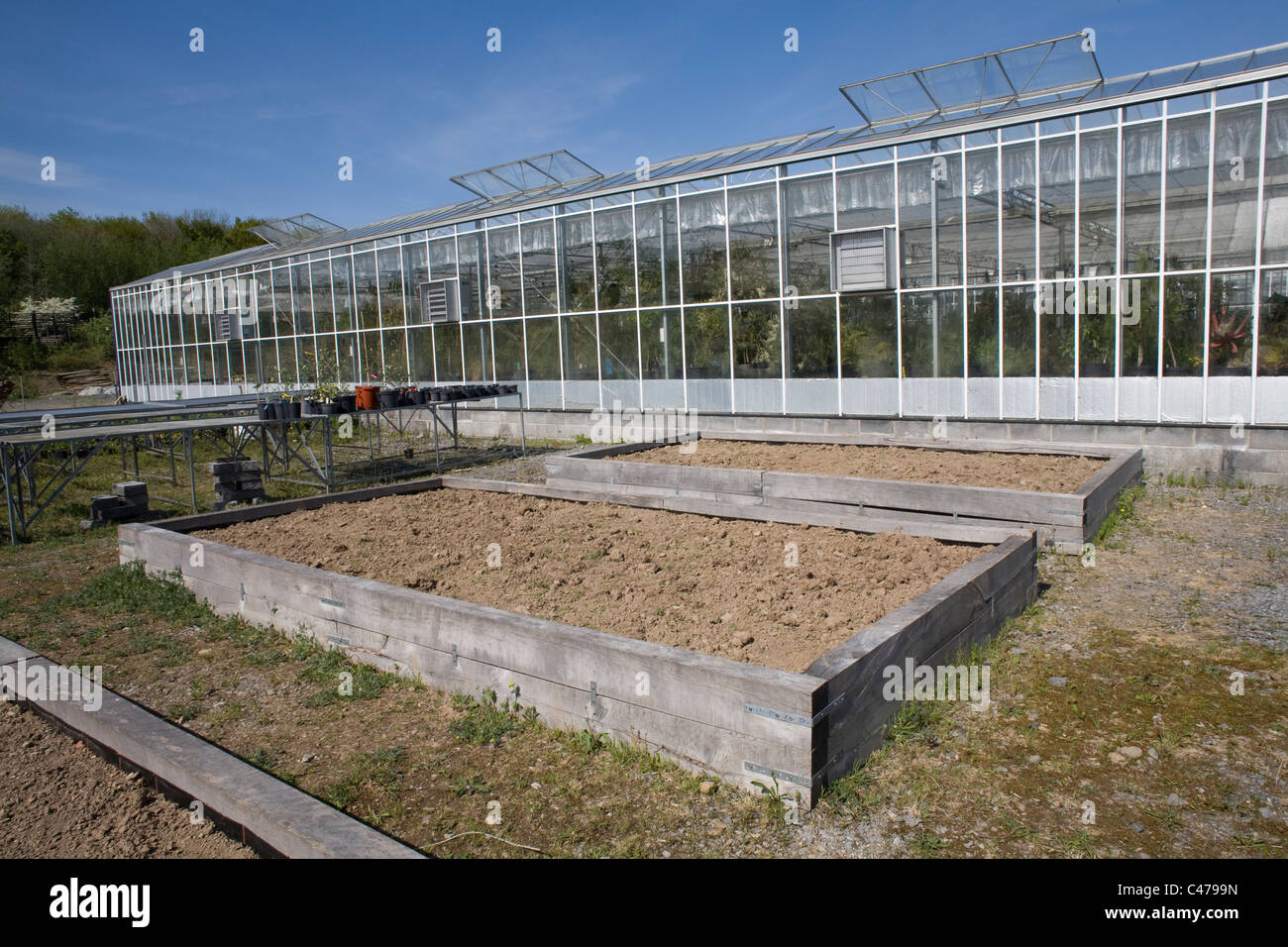 Nationaler Botanischer Garten von Wales, Pflanze Betten Gärtnerei Gewächshaus Stockfoto
