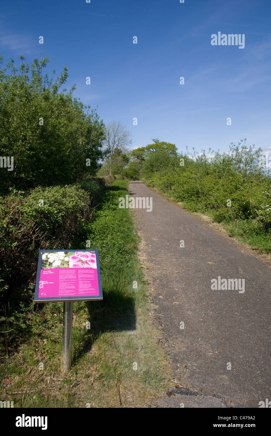 Nationaler Botanischer Garten von Wales, Weg am Eingang zum walisischen Land zu Fuß Stockfoto