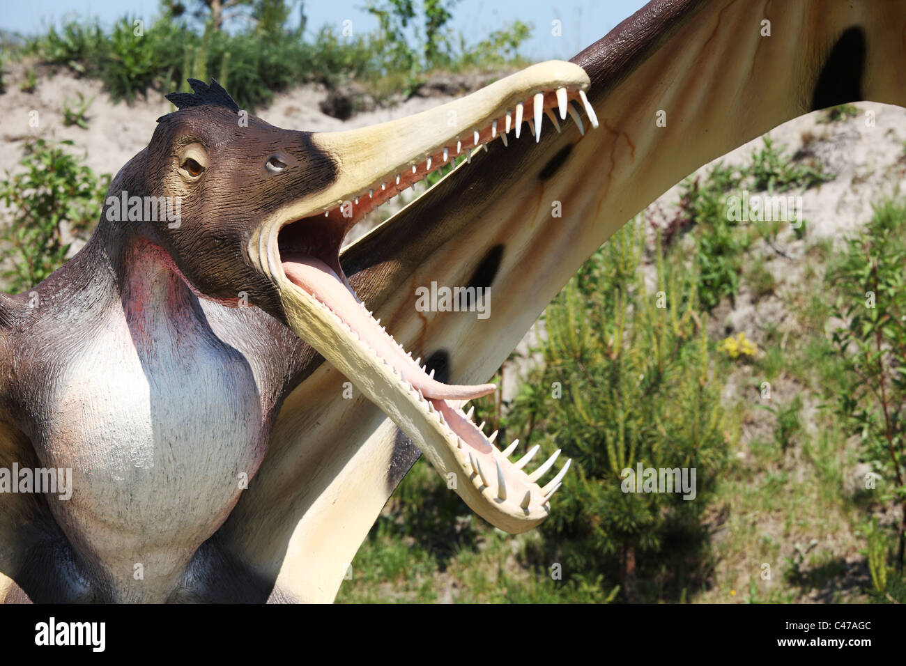 Dinosaurier - Cearadaktyl (Ptrodactyloidea, javelina - Cearadactylus) Stockfoto