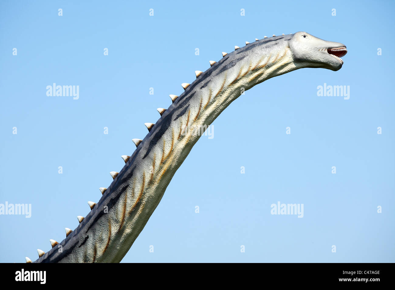 Dinosaurier - Diplodocus gegen blauen Himmel Stockfoto