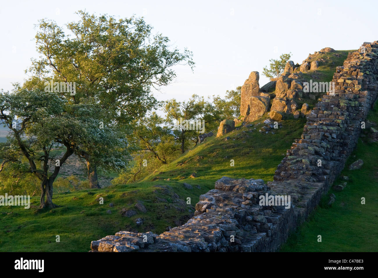 Abendsonne auf Hadrian Wall auf Walltown Klippen, Northumberland Stockfoto