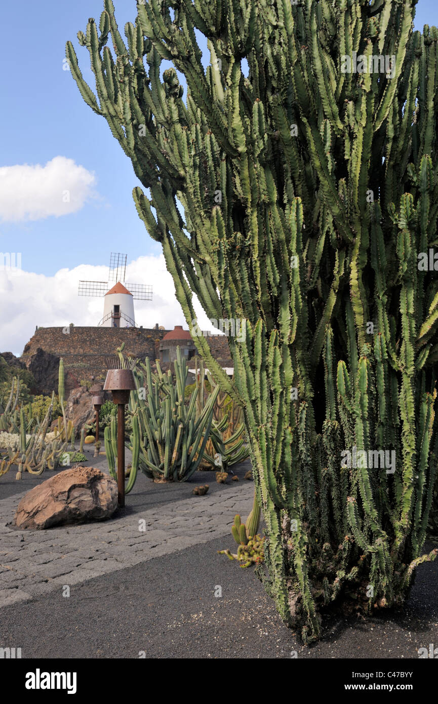 Lanzarote kaktus garten Fotos und Bildmaterial in hoher Auflösung Alamy