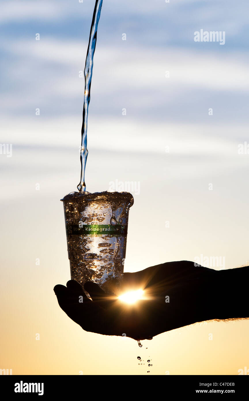 Das Gießen von Wasser in einem biologisch abbaubaren, kompostierbaren Kunststoff kostenfreie Schale aus Pflanzenmaterial. Silhouette Stockfoto