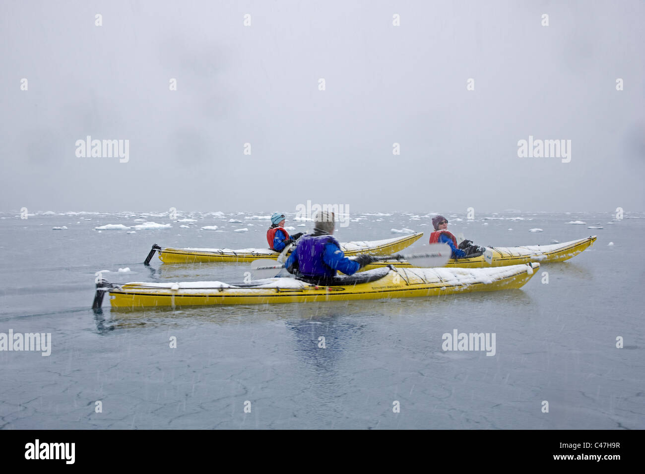 Kyakers im schweren Schnee von Almirante Brown Island Paradise bay Stockfoto