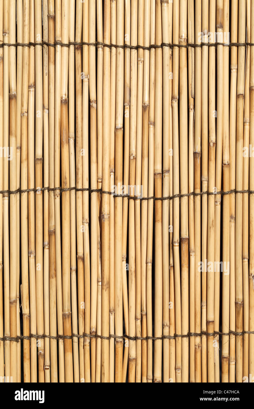 Nahaufnahme des Hintergrunds aus Bambus Vorhang Stockfoto