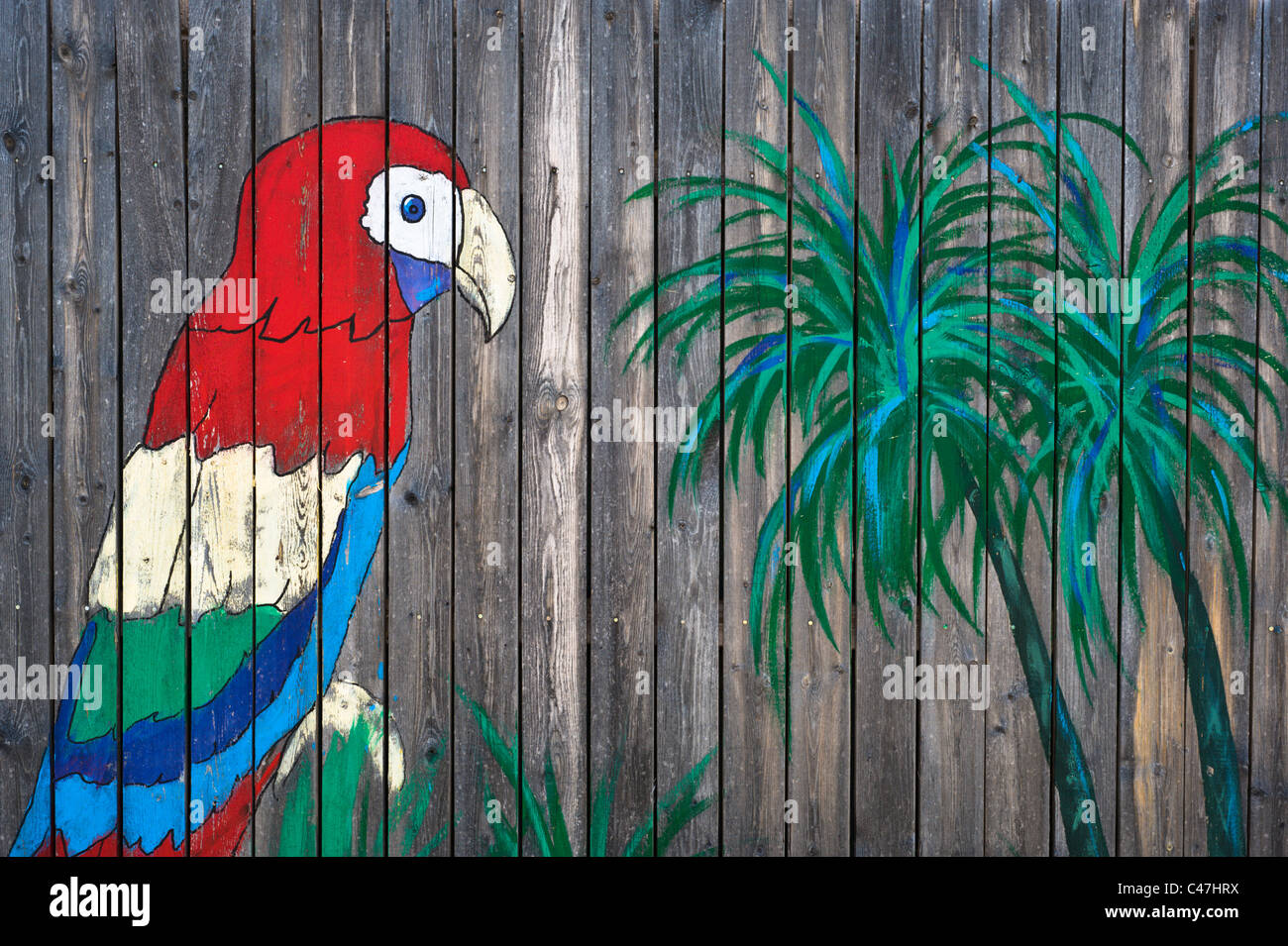 Bunte Papagei gemalt auf alten Holzzaun in Roswell, New Mexico. Stockfoto