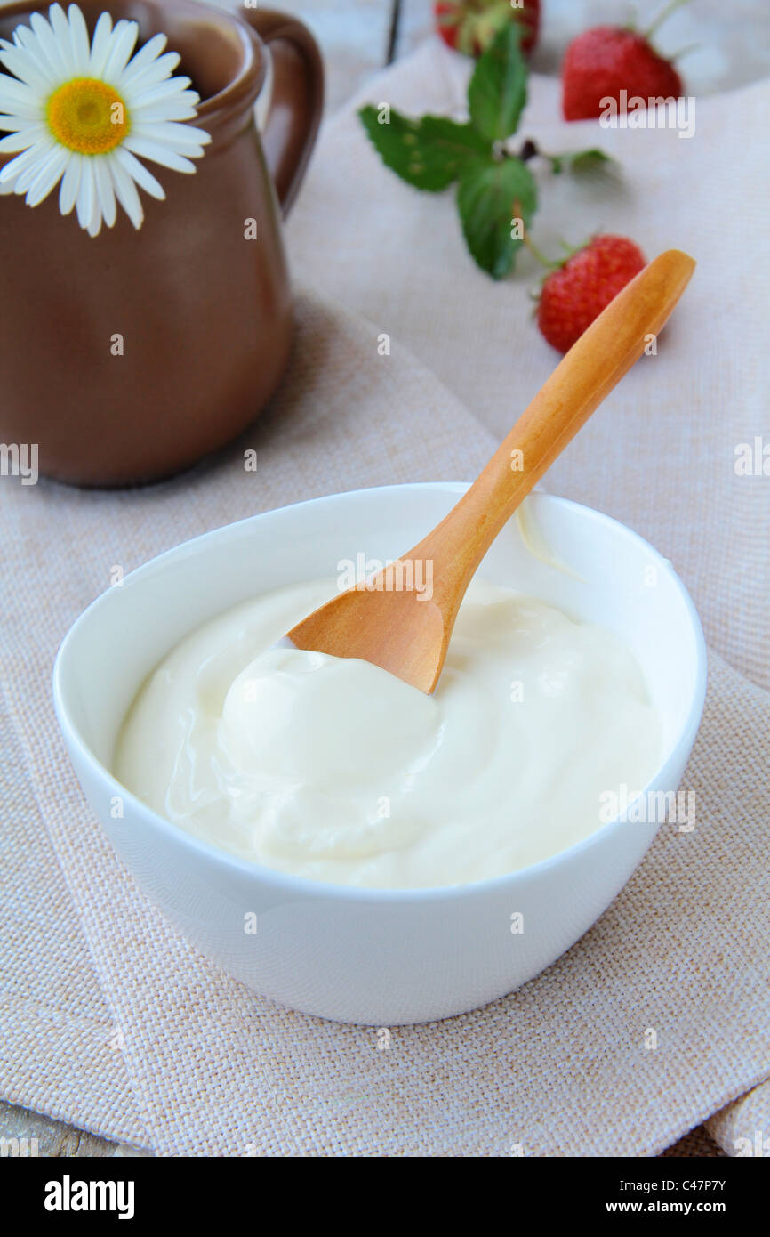 fermentierte Milch Produkt saure Sahne in eine weiße Tasse Stockfoto