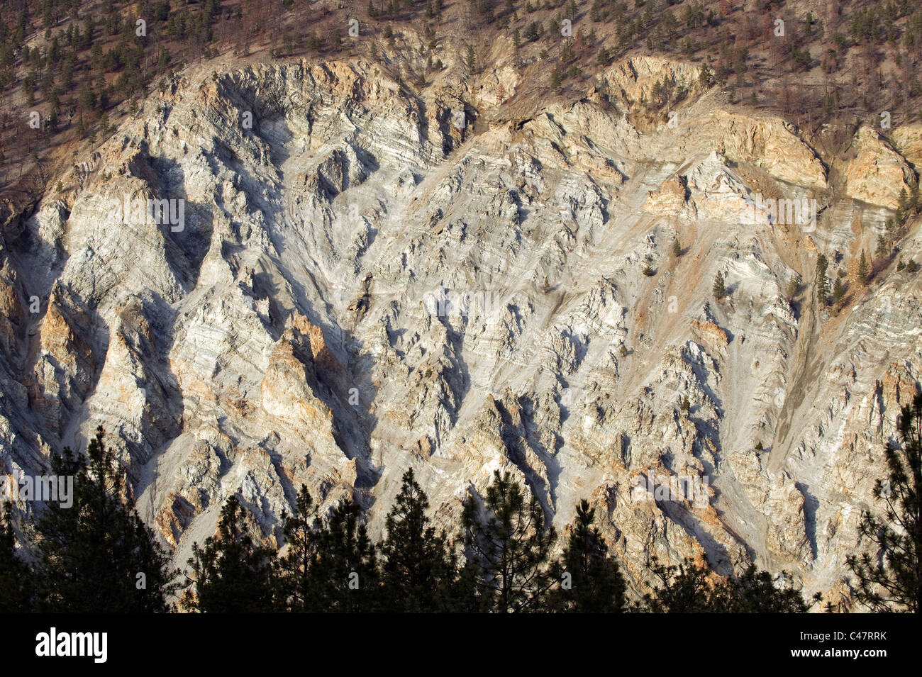 Marble Canyon in British Columbia, Kanada Stockfoto