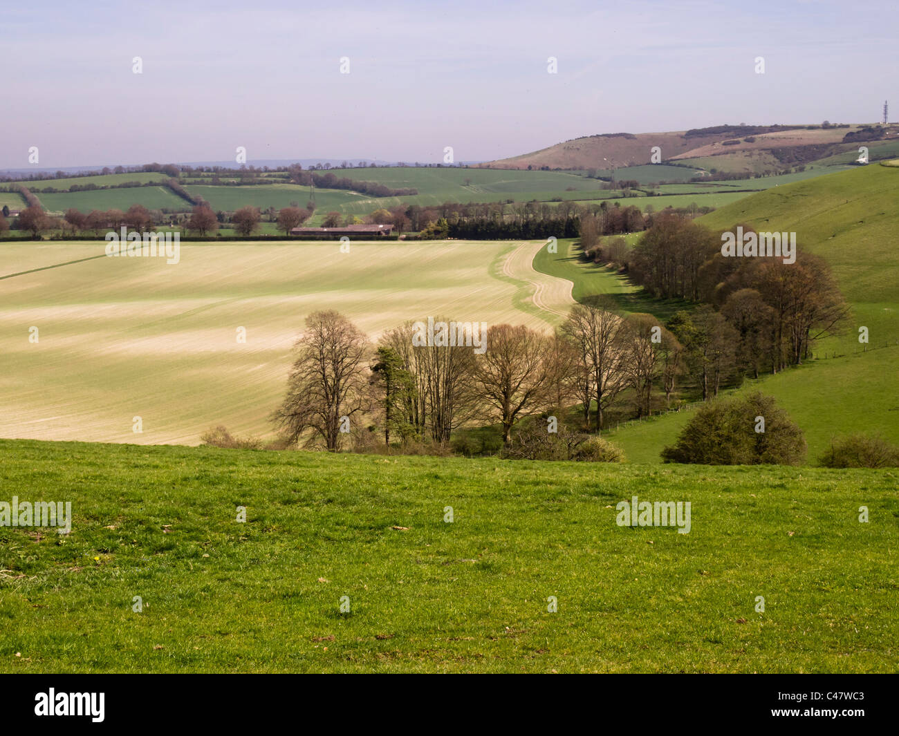 Panorama-Landschaft aus alten Winchester Hill in South Downs National Park in Hampshire England zeigt neu gepflanzt Feld. Stockfoto