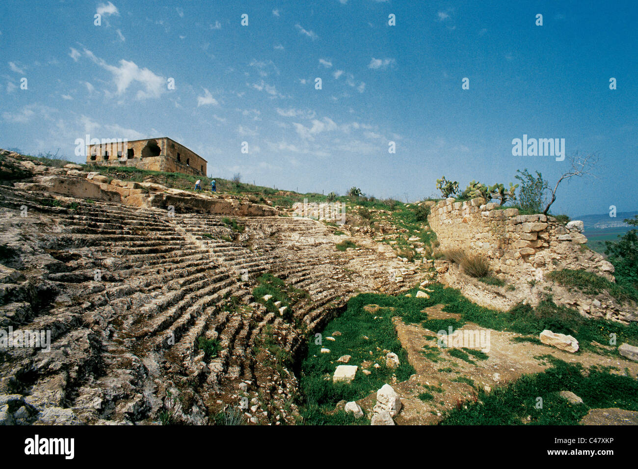 Foto des römischen Theaters in Sepphoris Stockfoto