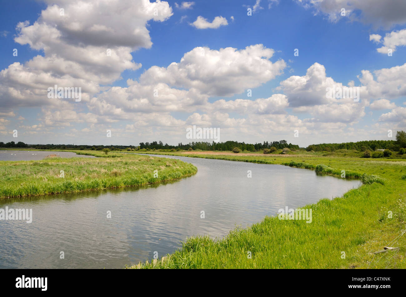 Der Fluss wenig Ouse, Suffolk, England, Mai Stockfoto