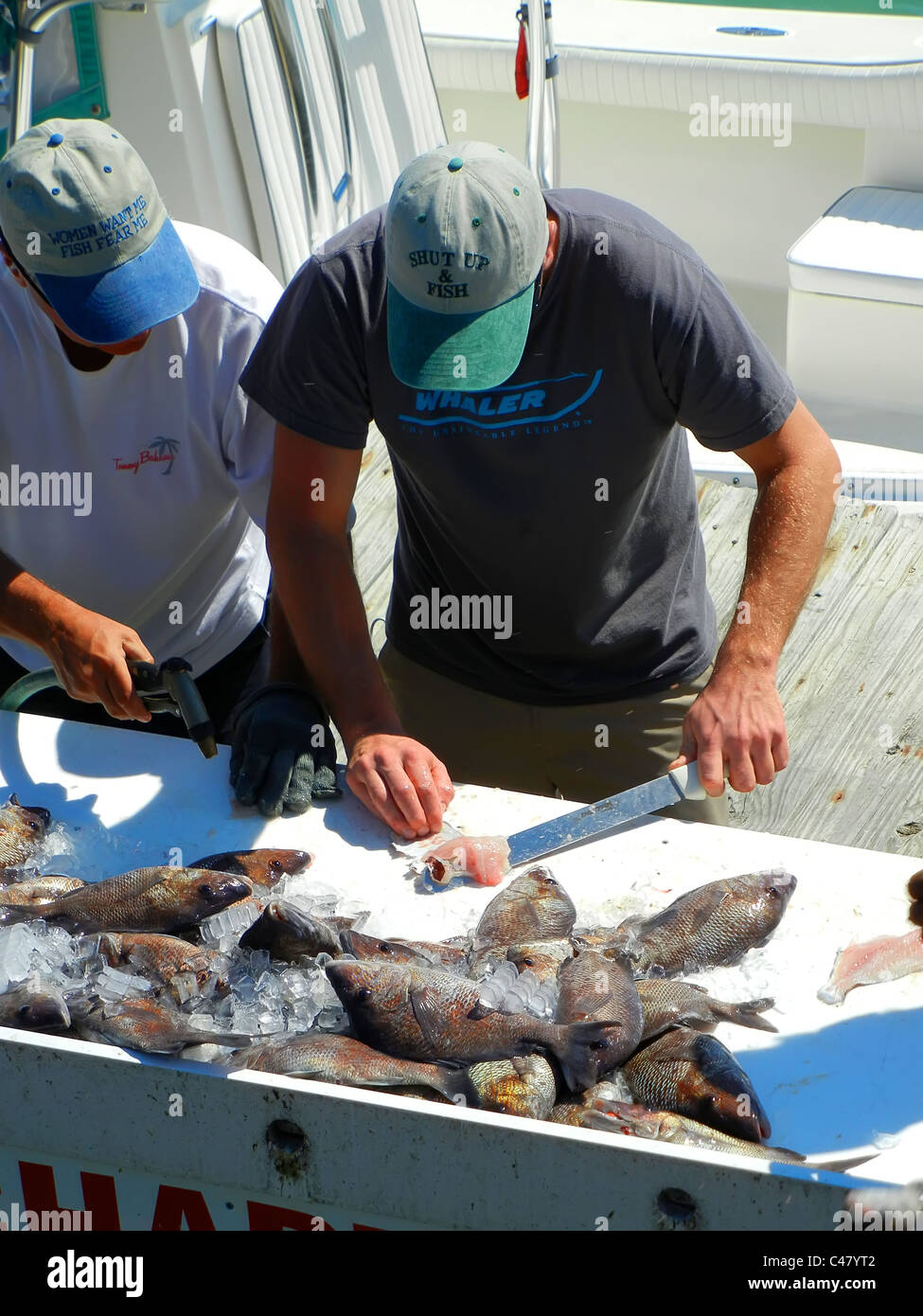 Fischer säubern Fisch an einem Tisch, nach der Rückkehr von einer Charta Fishiing Reise an John's Pass Florida in der Nähe von St. Pete Beach Stockfoto
